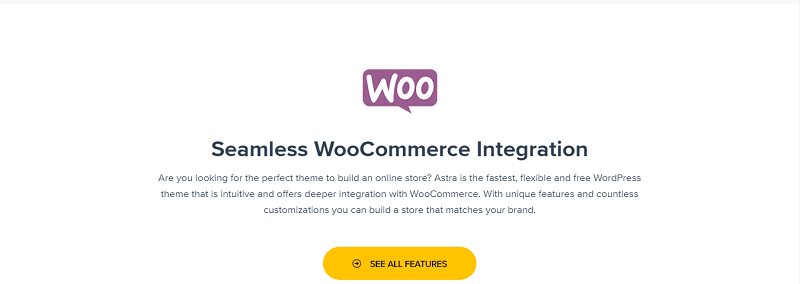 WordPress外贸主题推荐：Astra（一款快速、轻量、可定制化的多功能主题）