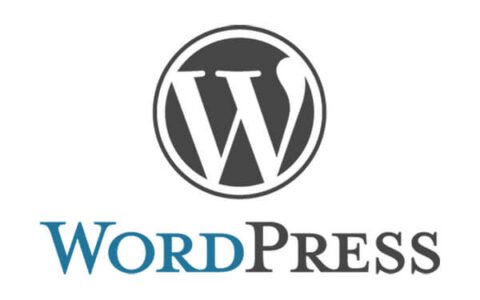 WordPress 6.2正式发布，命名为Dolphy