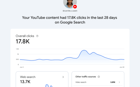 谷歌 Search Console 新增“平台资产”：查看 Instagram、TikTok、X 和 YouTube 账号在搜索中的表现